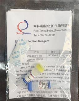 Zeocin 博來(lái)霉素